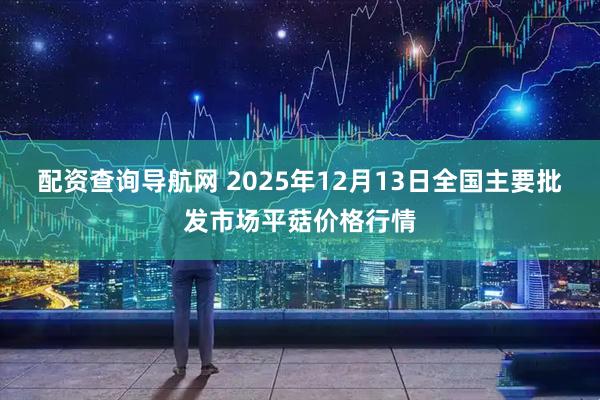 配资查询导航网 2025年12月13日全国主要批发市场平菇价格行情