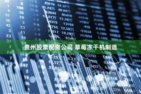 贵州股票配资公司 草莓冻干机制造
