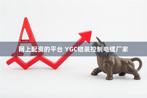 网上配资的平台 YGC铠装控制电缆厂家