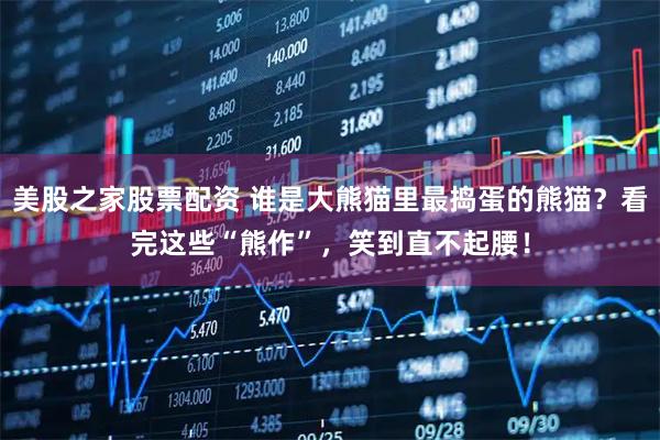 美股之家股票配资 谁是大熊猫里最捣蛋的熊猫？看完这些“熊作”，笑到直不起腰！