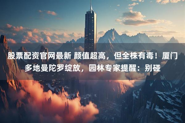 股票配资官网最新 颜值超高，但全株有毒！厦门多地曼陀罗绽放，园林专家提醒：别碰
